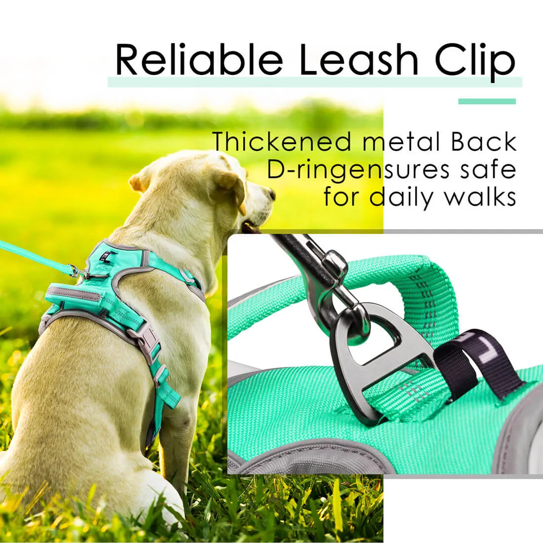 No Pull Dog Harness With Front and Back Clip - Training or Daily Use | ThinkPet