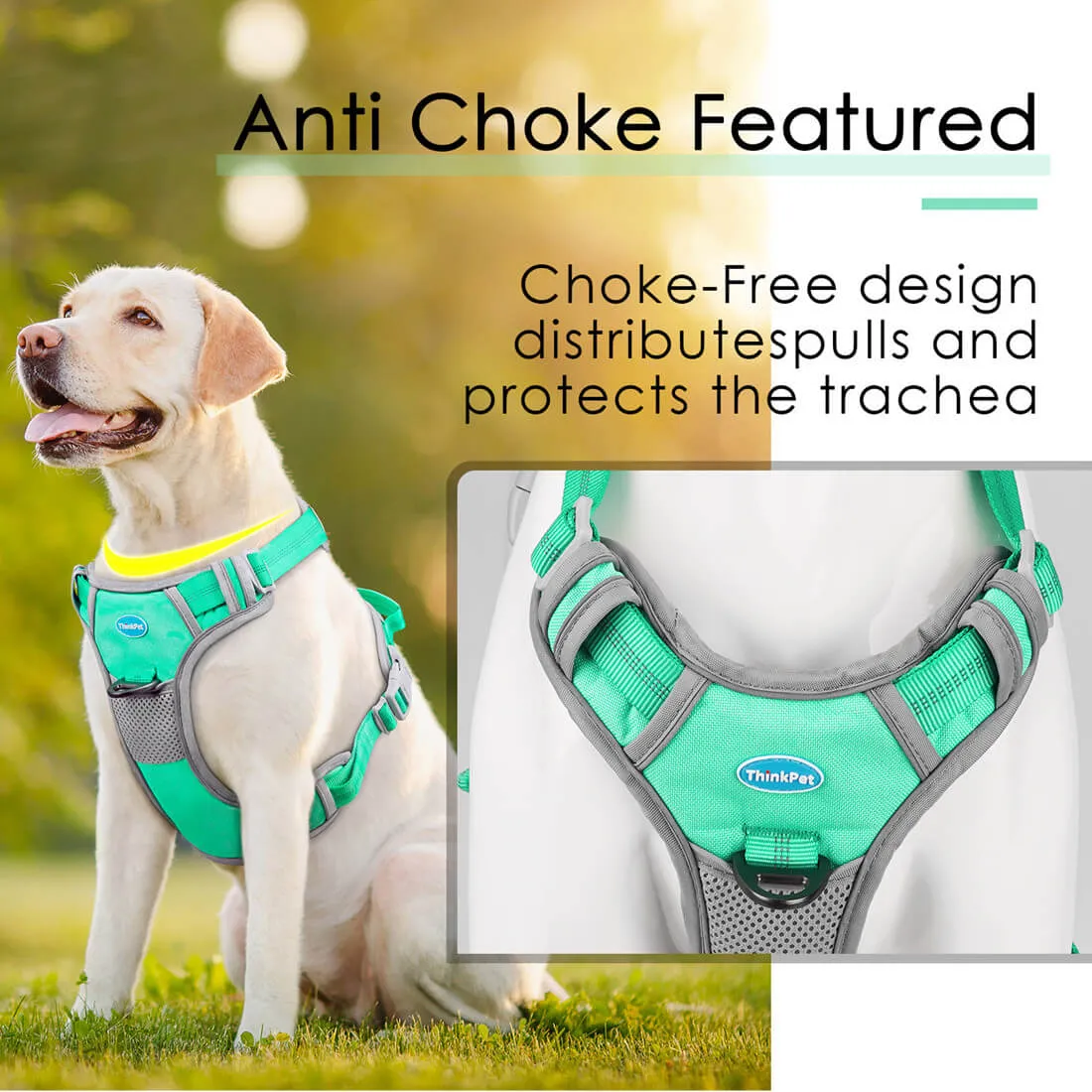 No Pull Dog Harness With Front and Back Clip - Training or Daily Use | ThinkPet