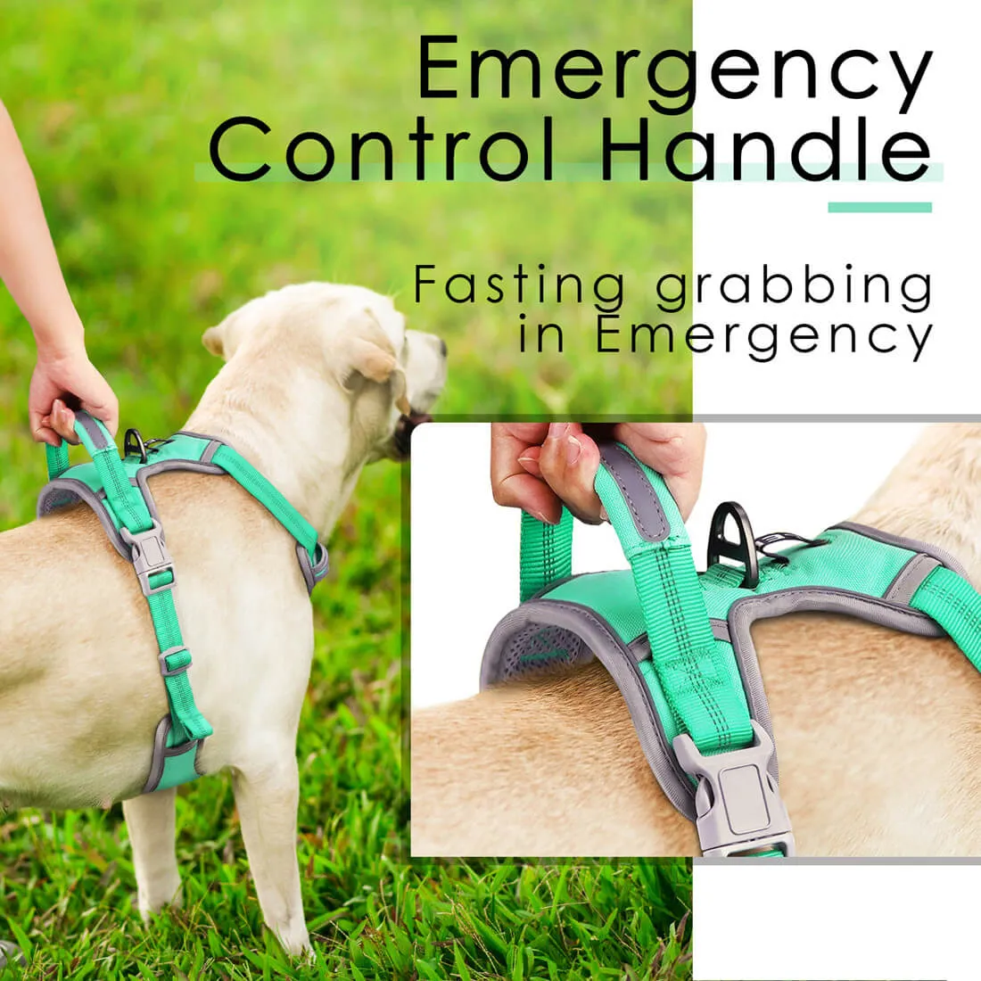 No Pull Dog Harness With Front and Back Clip - Training or Daily Use | ThinkPet