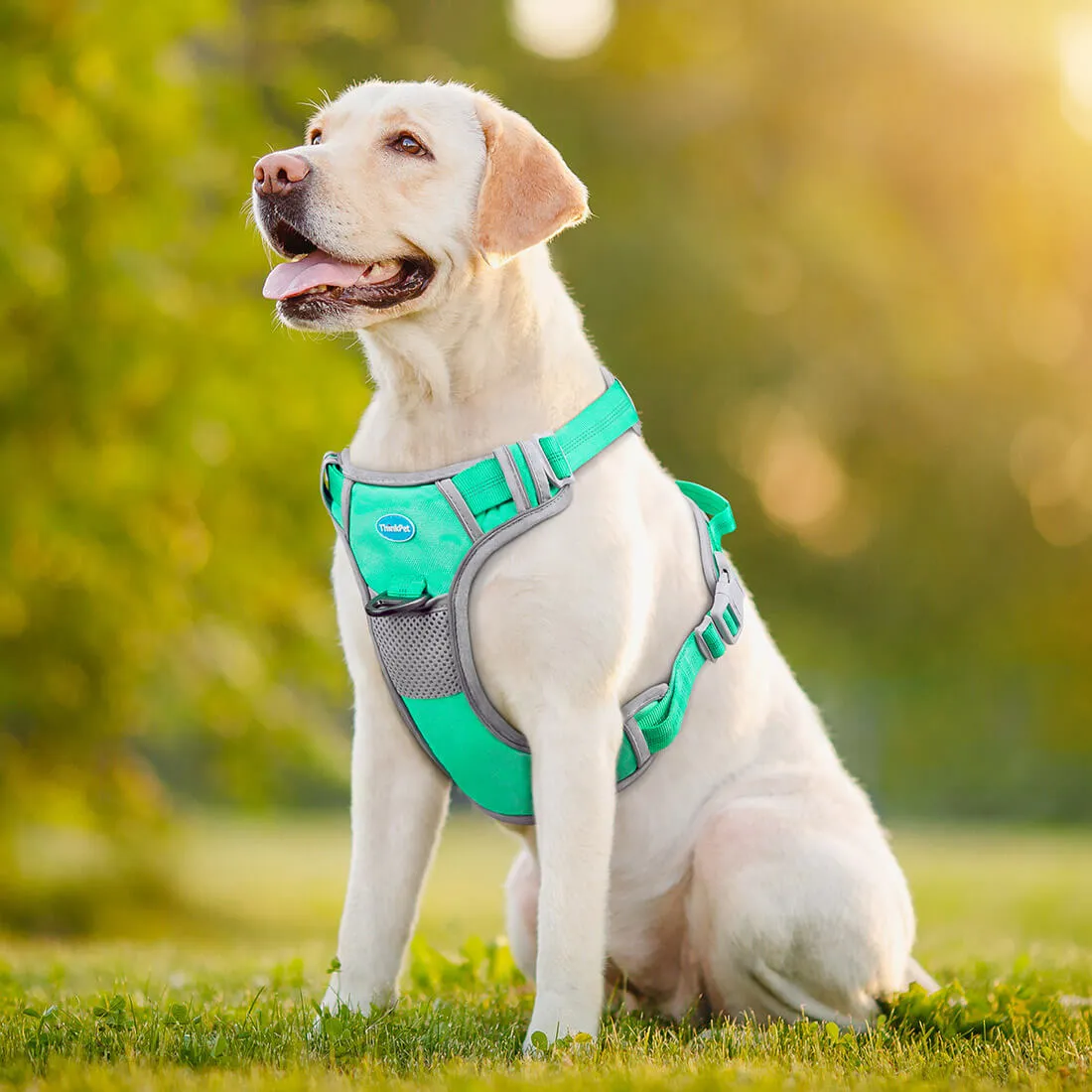 No Pull Dog Harness With Front and Back Clip - Training or Daily Use | ThinkPet